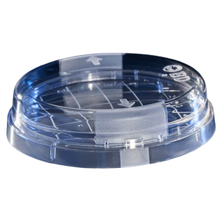 BD  # 297691 - Sabouraud Brain Heart Infusion Slant  Enriched Fungal and Yeast Culture Medium, 100/CA