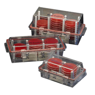BD  # 260674 - GasPak EZ Large Rack for Anaerobic Culture Plate Organization, EA
