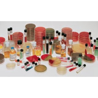 BD  # 221270 - BBL MacConkey II Agar Plate  100mm Culture Medium for Gram-Negative Bacteria Isolation, 100/BX