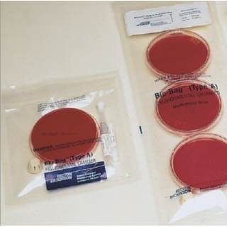 BD  # 261214 - BioBag Environmental Chamber Square  Controlled Atmosphere System for Microbial Cultivation
