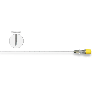 BD  # CHI2010 - Chiba Needle 20G x 10 cm Single Use Sterile Access Needle, 10/CS (Continental US Only)