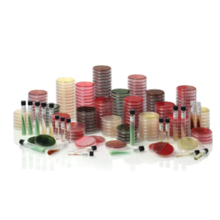 BD  # 221825 - Sabouraud Dextrose Agar Slants  Prepared Medium for Fungal Isolation and Maintenance