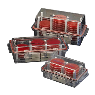 BD  # 260671 - GasPak EZ Container Incubation System, Anaerobic Culture Jar, EA