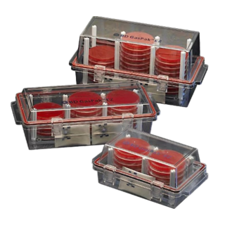 BD  # 260002 - Incubation Gas Container, Laboratory-Grade, Sterile, EA