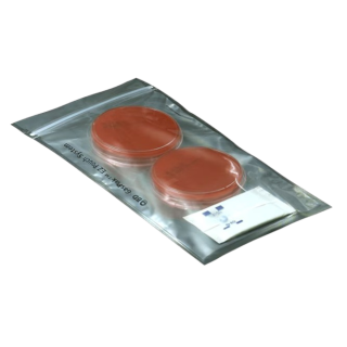 BD  # 260685 - EZ Campy GasPak Pouch for Campylobacter Culture Systems, 20/BX