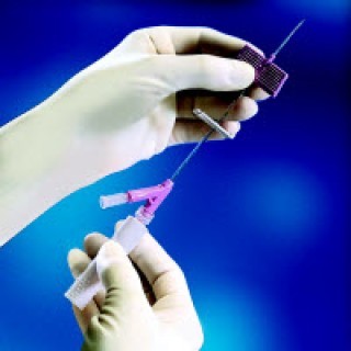 BD  # 383335 - IV Catheter, Wings, 20G x 1