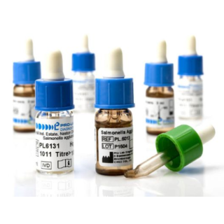 BD  # 228271 - Salmonella O Anti-Vi Antisera  High-Quality Reagent for Serological Identification of Vi-Positive Salmonella Strains