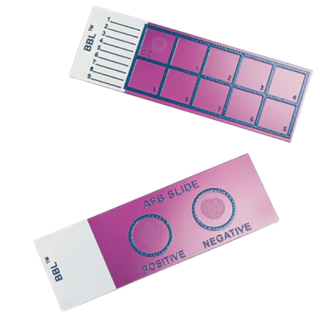 BD  # 231391 - BACTEC AFB Slide, Prepared Microscope Slide for Acid-Fast Bacilli Staining, 50/BX