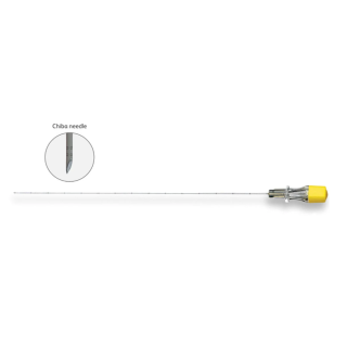 BD  # CHI2215 - Chiba Needle 22G x 15 cm Single-Use Sterile Access Needle, 10/CS (Continental US Only)