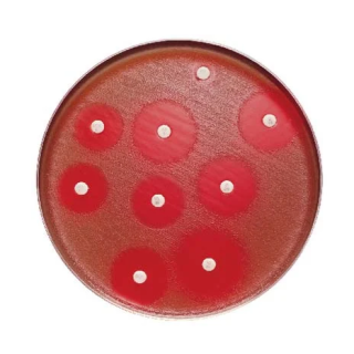BD  # 90002-296 - Oxytetracycline 30 g, Antibiotic Disc for Microbial Susceptibility Testing, 10/PK