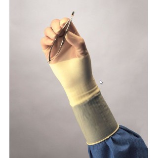 Cardinal Health # 2D73PM75 - Surgical Gloves  Polyisoprene, Micro, Powder-Free, Sterile, 50 PR/BX