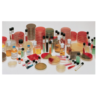 BD  # 221509 - BBL Motility Test Medium, K Tubes  Differential Medium for Gram-Negative Bacilli Motility Detection, 10/BX