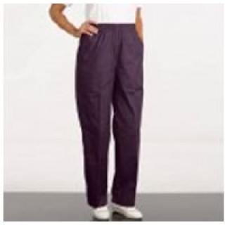 Fashion Seal # 7069-L - SLACKS SCRUB F PETITE LG