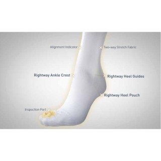 Alba-Waldensian # 851-05 - STOCKING, NYLON KNEE XXL, SHORT, 12 PR/CS