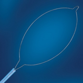 Avanos Medical # 60416 - SNARE, POLYPECTOMY, LARGE LOOP, 10/CS