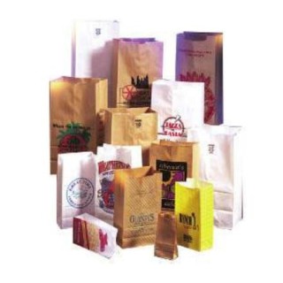 EBP Supply Solutions # 281907514 - BAG, PAPER #25, 1000/CS