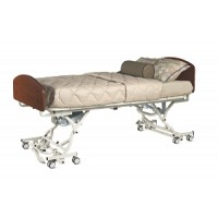Medline #FCE1385NRQO