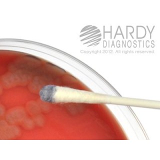 Hardy Diagnostics # Z193 - OXISTICKS OXIDASE SWABS, 25 SWABS PER V, 25/PK