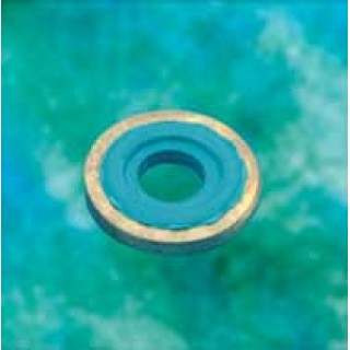 Teleflex # 2040 - WASHER SEAL, CGA, VITON MOLDED ONTO BRASS, 10 EA/CS