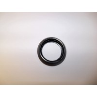 Medline #IVO440015