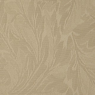 Medline # MCDCRPHLCOK - FABRIC, RAPHAEL, COOKIE, 1 YARD