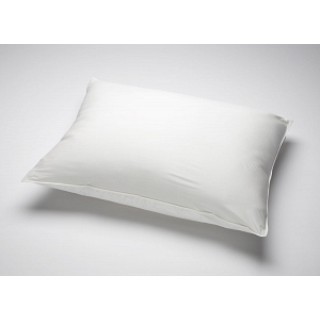 Medline # MDT21921316G - COVER, PILLOW, QUEEN 21X31, 6 GAUGE ZIPPER, 12 EA/DZ