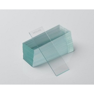 Medline # 10117101PX - MICROSCOPE SLIDE, PLAIN, GROUND, 90DEG, 1440/CS