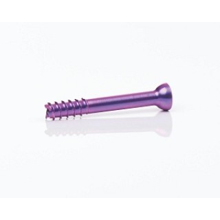 Medline # MSD02532 - SCREW, HEADED, 2.5 X 32MM, EACH