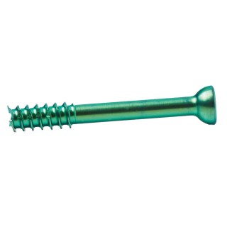 Medline # MSD03022 - SCREW, HEADED, 3.0 X 22MM, EACH
