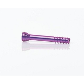 Medline # MSL02532 - SCREW, HEADLESS, 2.5 X 32MM, EACH