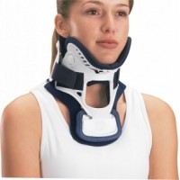 DJ Orthopedics #79-83237