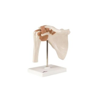 Sammons Preston # 928195 - ELBOW MODEL, EACH